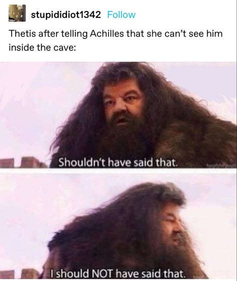 House Quiz, Potter House, Song Of Achilles, Volleyball Humor, Harry Potter 2, Dc Memes, Memes Humor, Harry Potter Funny, Harry Potter Memes