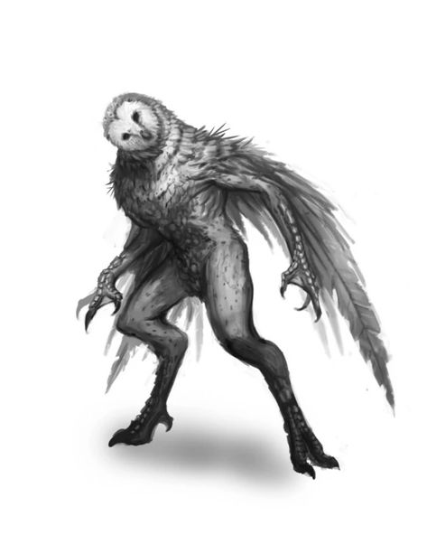 Owlman | The Demonic Paradise Wiki | Fandom Sif Dark Souls, Fantasy Bird, Dark Creatures, Fantasy Beasts, Cornwall England, Fantasy Races, Creature Drawings, Monster Concept Art, Fantasy Creatures Art