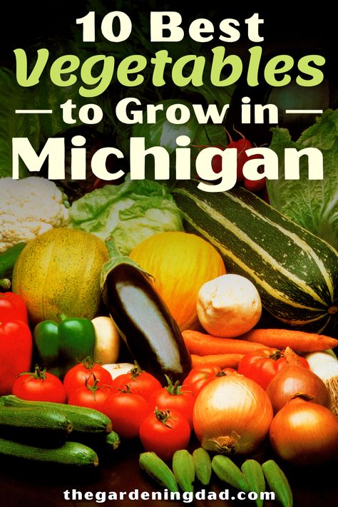 Learn about the 10 Best Vegetables to Grow in Michigan with this ultimate guide to vegetable gardening in Michigan! Perfect for Michigan Gardeners, Homesteaders, and Farmers who want the 10 best and easiest growing vegetables for your hardiness zone. #michigan #vegetablegarden #gardenideas Homesteading In Michigan, Michigan Planting Calendar, Michigan Vegetable Garden, Gardening In Michigan, When To Plant Garden, Michigan Garden, Best Vegetables To Grow, Homestead Property, Michigan Gardening