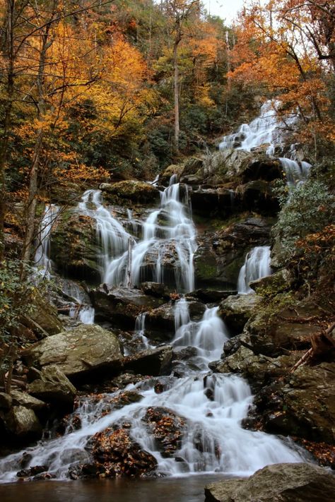 7 Amazing Waterfalls in North Carolina - Drivin' & Vibin' Waterfalls North Carolina, Dry Falls North Carolina, Waterfalls Near Asheville Nc, Waterfalls In North Carolina, North Carolina Hiking, Nc Waterfalls, 2024 Manifestation, Gorges State Park, North Carolina Vacations