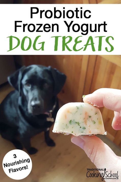 Yogurt Dog Treats, Healthy Homemade Dog Treats, Homemade Dog Cookies, Pet Treats Recipes, Easy Dog Treat Recipes, Frozen Dog Treats, Dog Biscuit Recipes, Easy Dog Treats, Healthy Dog Treats Homemade