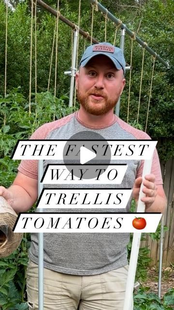 Sean Pessarra on Instagram: "I have found this method of trellising my determinant tomatoes to be the fastest and most reliable. It is called the Florida Weave, or Stake and Weave, method and I have used it on my eggplants,  peppers, and determinate tomatoes at scale with great success. It is great for holding up long runs, or rows, of bushy plants. Also no more storing cages!!!  The PVC pipe helps make the whole process much faster and less fatiguing. Any string can be used but I prefer jute or hemp so I can cut everything down in the fall, roll it up, and put it on the compost pile." Staking Tomato Plants, Florida Weave, Tomato Stakes, Bushy Plants, Determinate Tomatoes, Tomato Trellis, Compost Pile, Tomato Cages, Pepper Plants