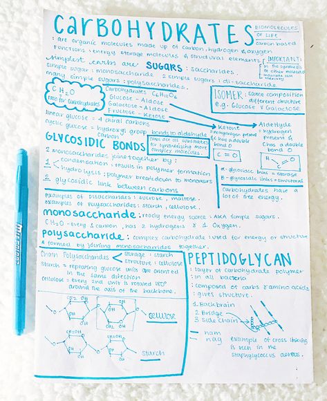 Nutrition Student Notes, Carbohydrates Notes Biology, Biochemistry Notes Carbohydrates, Macromolecules Biology Notes, Carbohydrates Notes, Carbohydrates Biology, Nutrition Notes, Biochemistry Notes, Mcat Study