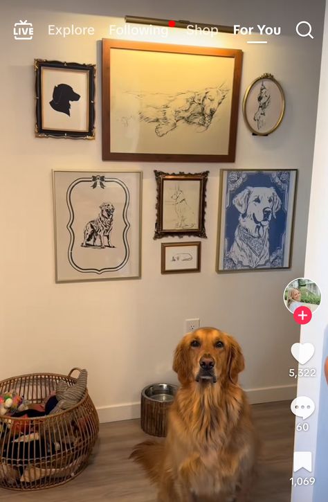 Dog Photo Gallery Wall, Dog Bowl Gallery Wall, Dog Collage Wall, Dog Gallery Wall Ideas, Pet Gallery Wall, Apartment Vibes, Family Photo Wall, Indian Creek, Photo Wall Gallery