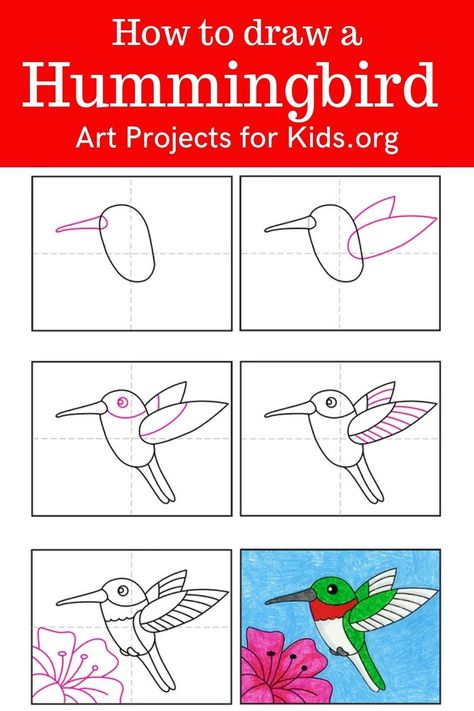 How To Draw A Hummingbird Easy, How To Draw A Hummingbird, How To Draw A Bird Step By Step, Hummingbird Drawing Simple, How To Draw Animals Step By Step, How To Draw A Bird, Step By Step Drawing For Kids, How To Draw For Kids, Bird Step By Step Drawing