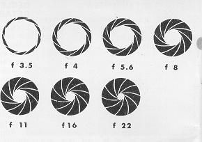 Aperture f stop diagram Stop Tattoo, Camera Film Tattoo, F Stop, Camera Tattoos, Life Logo, Learning Photography, Photo Logo, Tattoo Models, Make Your Mark