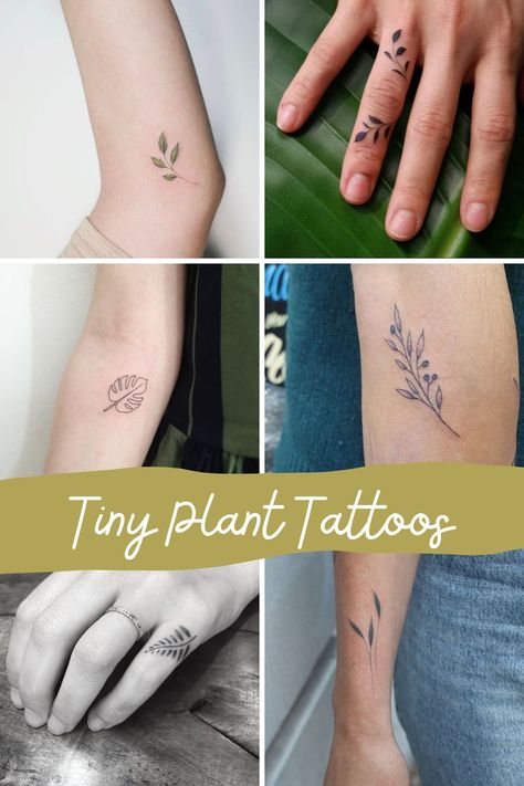 143+ Tiny Flower Tattoos Petite + Pretty Designs - Tattoo Glee Green Thumb Tattoo Ideas, Delicate Flower Hand Tattoos For Women, Tiny Leaves Tattoo, Delicate Plant Tattoo, Petite Flower Tattoo, Small Plant Tattoos For Women, Fern Finger Tattoo, Delicate Fern Tattoo, Flower And Plant Tattoos