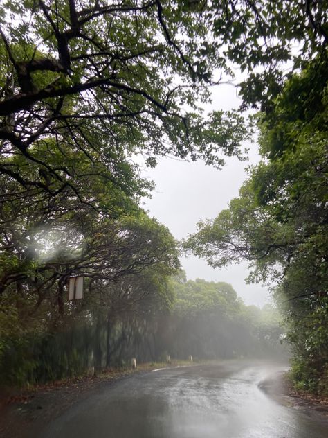 Foggy Rain, Mahabaleshwar, Wild Jungle, Aesthetic Travel, Hill Station, Fresh Air, Drive, Travel, On Instagram