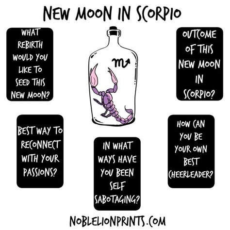 Scorpio Tarot Spread, Full Moon Tarot Reading, Scorpio New Moon, Golden Thread Tarot, Scorpio Tarot, New Moon In Scorpio, Full Moon Tarot, Leo Tarot, Oracle Card Spreads