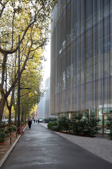 Bocconi University, Ryue Nishizawa, Covered Walkway, Kensington Gardens, Ibaraki, Steel Columns, Uni Life, Aomori, Wakayama