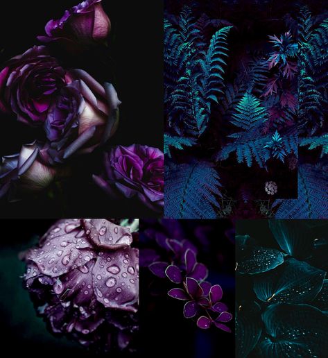 Purple Emerald Color Palette, Deep Purple Boho Bedroom, Purple And Emerald Green Bedroom, Black And Jewel Tone Color Palette, Purple Jewel Tone Color Palette, Moody Purple Room, Whimsigothic Color Palette, Moody Paint Palette, Moody Jewel Tone Bedroom