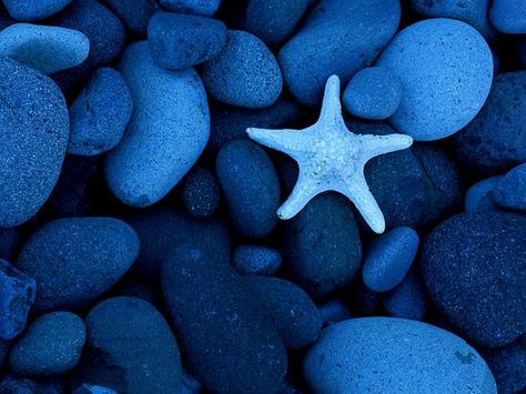 Color Azul - Blue!!! pretty blue rocks Rhapsody In Blue, Baja California Mexico, Ocean Pictures, Principles Of Design, Sea Star, Feeling Blue, Love Blue, Blues Rock, True Blue