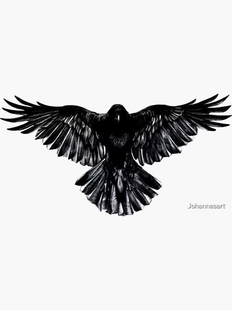 Crow In Flight, In Flight, Black Bird, A Black, The Back, Flight, Tattoos, White, Black