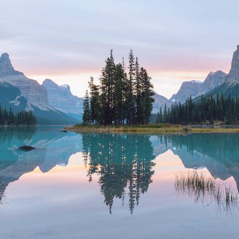 @christianannschaffer posted this heat on their IG profile. Willy Ronis, Pine Trees, Travel Photographer, Pretty Places, Oh The Places Youll Go, Landscape Photos, Land Scape, Beautiful World, Dark Fantasy