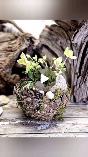 Natural Arrangements, Planter Ideas, Instagram Diy, Flower Ideas, Diy Hacks, Floral Arrangement, Decoration Table, Flower Arrangement, Diy Ideas