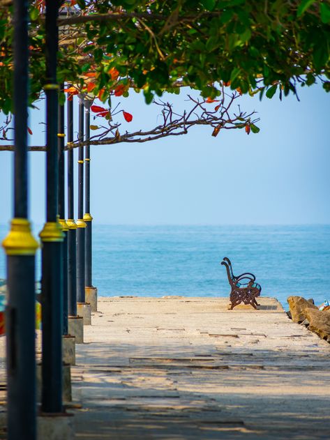 Fort Kochi, Cochin, India, The end of a walkway almost always offers the best views!  Even in the scorching heat, this walkway by the Fort Kochi beach soothes one's eyes, NIKON CORPORATION, NIKON D3400, #B3D7F1 Marine Drive Kochi, Kochi Photography, Cochin India, Fort Kochi, Kochi India, Marine Drive, Nikon D3400, Holiday Trip, Green Environment