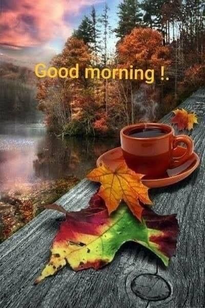 Wednesday Morning Images, Good Morning Fall, Wednesday Morning Greetings, Happy Wednesday Images, Good Morning Quotes Friendship, Wednesday Greetings, Good Morning Animals, Crisp Morning, Good Wednesday