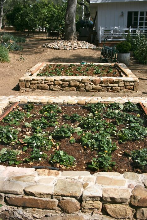 Another view of the stone raised beds. Stone Raised Garden Beds, Stone Raised Beds, Vegetable Beds, Building A Raised Garden, Potager Garden, Garden Area, Veg Garden, Polished Pebble, Garden Boxes