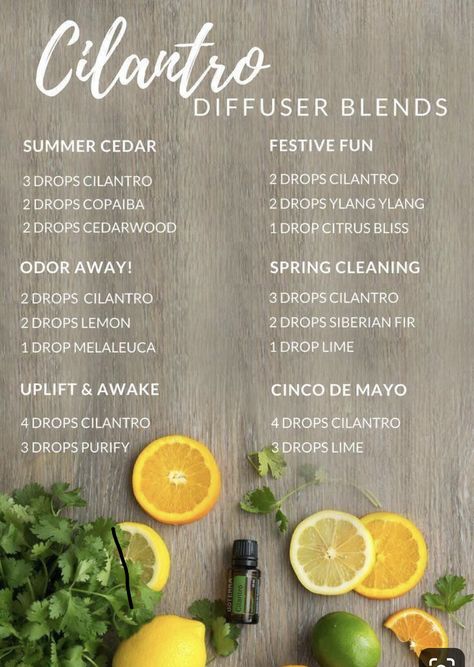 #cilantro #diffuserblends #essentialoils #doterra #recipes Citronella Essential Oil Blends, Coriander Essential Oil Blends, Cilantro Essential Oil, Lime Essential Oil Diffuser Blends, Lemongrass Diffuser Blend Doterra, Cilantro Oil, Doterra Recipes, Doterra Diffuser, Aromatherapy Recipes