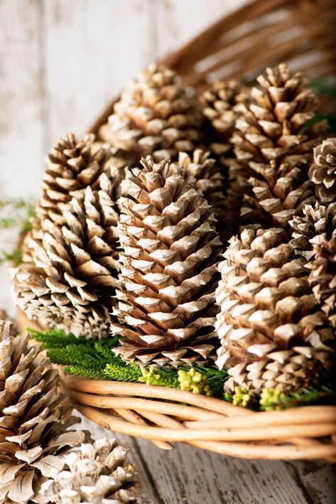 Close-up of bleached pinecones in a wicker basket with greenery decoration Christmas Wicker Basket Ideas, Decorate With Pinecones, Giant Pine Cone Crafts, Large Pinecones Ideas, Pinecone Decorations Diy, Decorating With Pine Cones, Basket With Greenery, White Pinecones, Bleached Pinecones