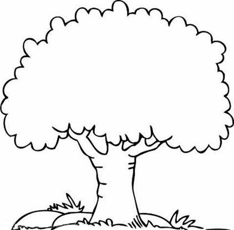 A Shady Oak Tree Coloring Page : Color Luna Big Tree Drawing, Family Tree Clipart, Family Tree Printable, Tree Coloring, Tree Outline, Shady Tree, Tree Templates, Simple Tree, Tree Coloring Page