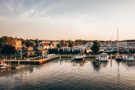 Spending Summertime on Lake Michigan: New Buffalo, Three Oaks & Sawyer. Three Oaks Michigan, New Buffalo Michigan, New Buffalo, Michigan Travel, Pure Michigan, Michigan Wedding, Local Guide, Lake Michigan, Travel Guide