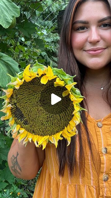 Corn Garden, Growing Sunflowers, Sunflower Head, Garden Harvest, Corn On The Cob, Grow Your Own Food, Sunflower Seeds, Garden Inspiration, Corn