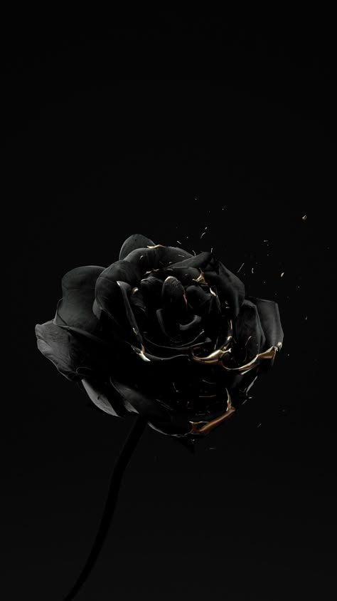 Roses Are Dead – Vol. 4 “Black and Gold” on Behance