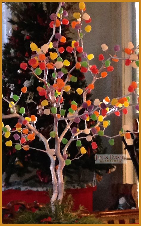 Gumdrop Tree Christmas, Gumdrop Tree, Craft Nights, Candy Trees, Gum Drop, Palmetto Tree, Candy Tree, Reference Board, Dance Themes