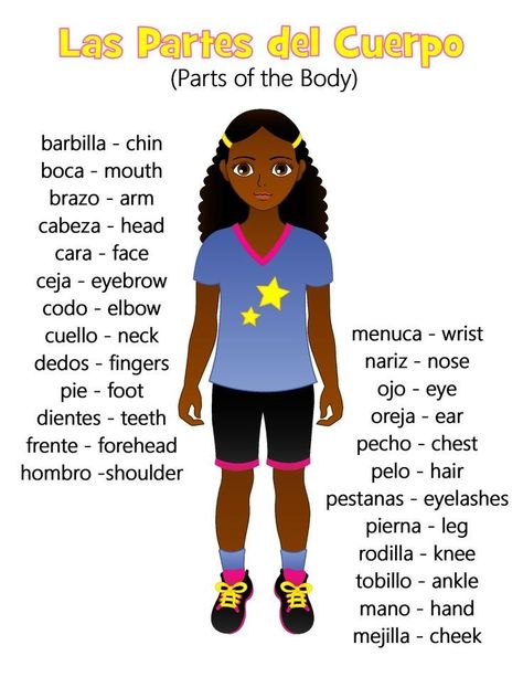 Parts Of The Body In Spanish, Spanish Shows To Learn Spanish, Mexican Spanish Language, Spanish Study Notes, How To Learn Spanish, Spanish Body Parts, Simple Spanish Words, Body Parts In Spanish, Spanish Tips