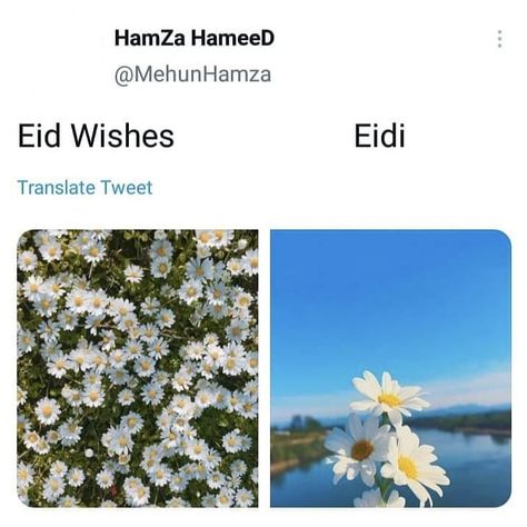 Ramadan Funny, Islam Meme, Ramadan Memes, Eid Jokes, Halal Jokes, Islamic Tweets, Ramzan Eid, Eid Wishes, Eid Images