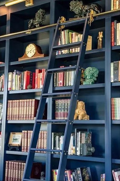 Tall Bookshelves Living Room, Library Ladders, Dream Home Library, Rolling Ladder, Home Library Rooms, Library Ladder, Library Shelves, Library Wall, Home Library Design