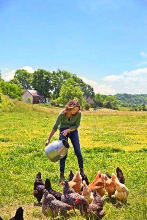 Lovely lifestyle of raising chickens! Feeding Chickens, Foto Cowgirl, Farm Lifestyle, Future Farms, Country Lifestyle, Ranch Life, Farms Living, Hobby Farms, Country Farm