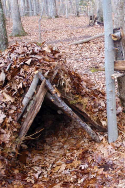 The lean-to is a classic shelter around the world. It’s in just about every survival book and it shows up on a lot of survival television programs since it makes a very “survivally” backdrop. And it is useful… when you use it for the right reasons. Lean To Shelter, Survival Books, Lean To, Windy Weather, Two Trees, Roof Covering, Wind And Rain, Television Program, Survival Skills