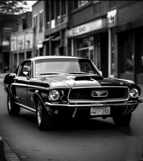 Chevrolet Classic Cars, Vintage Black Mustang Aesthetic, 1968 Ford Mustang Shelby Gt500, All Mustang Models, Black Ford Mustang 1967, Mustang Cars Classic, 1967 Ford Mustang Shelby Gt500, 1969 Shelby Mustang Gt500, Old Model Cars