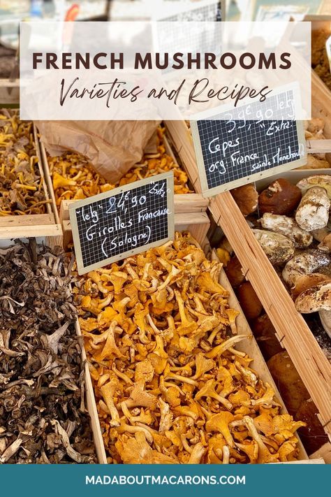 crates of different varieties of wild French mushrooms at the market French Mushroom, Healthy Mushroom Recipes, Mushroom Recipes Healthy, Mushroom Varieties, Homemade Ideas, Food Blogs, French Quotes, Clever Hacks, Mushroom Recipes