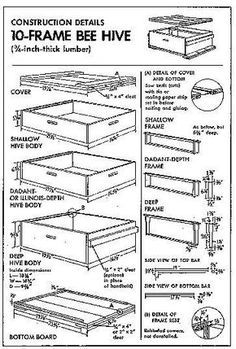 Langstroth Hive Plans, Warre Hive, Diy Bee Hive, Building A Beehive, How To Start Beekeeping, Bee Hives Diy, Bee Hives Boxes, Langstroth Hive, Diy Bee