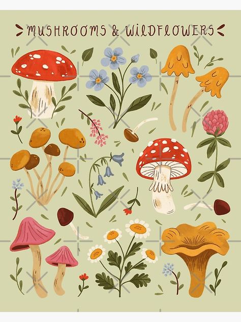 Flowers And Mushrooms Painting, Flowers And Mushrooms Drawing, Procreate Mushroom Drawing, Mushrooms And Wildflowers, Woodland Creature Illustration, Foraging Illustration, Mushroom Illustration Cute, Cottage Core Illustration, Toadstool Illustration