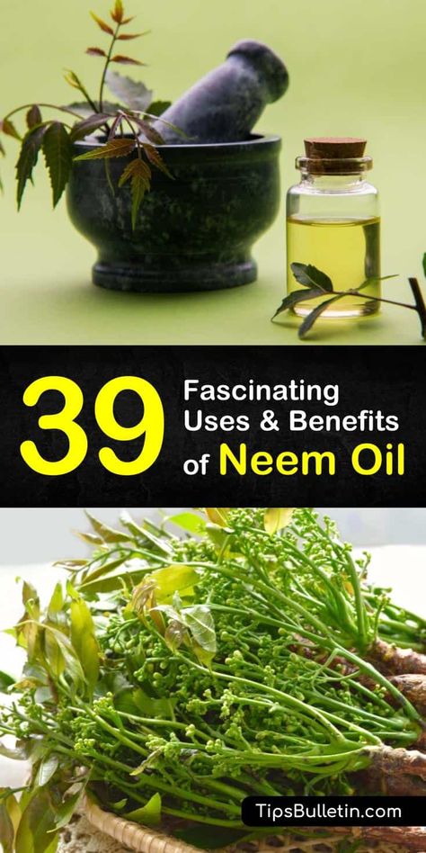 39 Fascinating Uses & Benefits of Neem Oil Neem Oil Uses, Neem Oil Benefits, Benefits Of Neem Oil, Benefits Of Neem, Sagging Face, Neem Powder, Essential Oil Remedy, Oil Remedies, Western Medicine