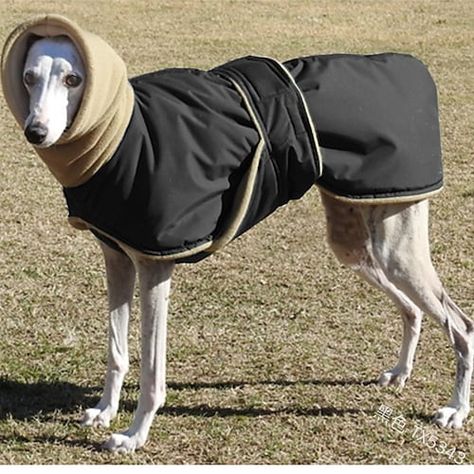 Dogs Greyhound, Waterproof Clothes, Pet Magic, Large Dog Clothes, Waterproof Dog Coats, Dog Winter Coat, Winter Pattern, Waterproof Coat, Dog Coat