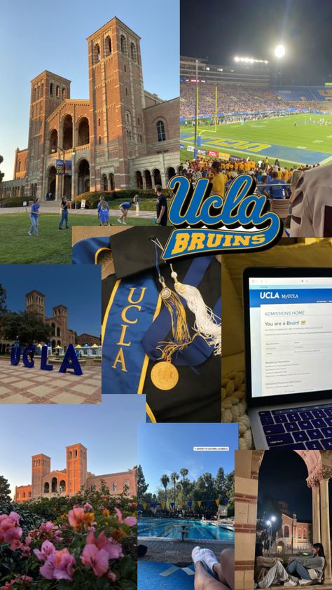 Berkley University Campus, Ucla Law School, Usa University Aesthetic, Ucla Acceptance Letter, Ucla Campus Aesthetic, Ucla Wallpaper, Ucla Aesthetics, Collage Campus, Berkley University