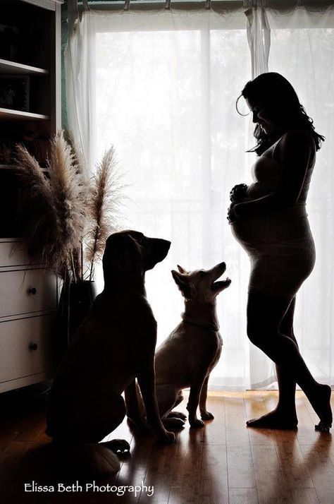 Home Maternity Photography, Diy Maternity Photos, Vogue Kids, Maternity Photography Poses Pregnancy Pics, Baby Bump Photos, Couple Pregnancy Photoshoot, Maternity Photoshoot Outfits, Photos With Dog, Maternity Photoshoot Poses