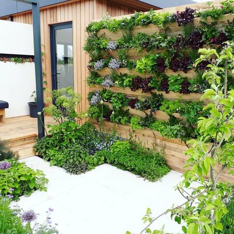 Vertical Garden Ideas, Succulent Landscape Design, Vertical Garden Design, Vertical Garden Wall, Grow Vegetables, Walled Garden, Veg Garden, Pallets Garden, Sustainable Garden