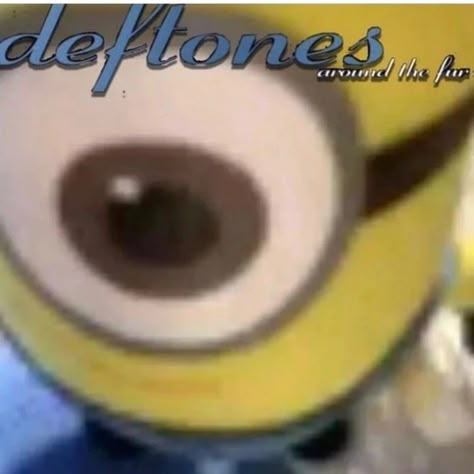 Deftones Album, Minions 2, Around The Fur, Silly Bands, Silly Images, Music Memes, Silly Me, Lose My Mind