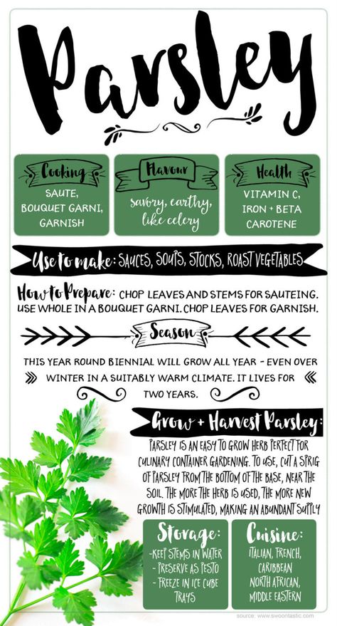 Vegan Hacks, Parsley Soup, Parsley Benefits, Growing Parsley, Parsley Plant, Parsley Recipes, Parsley Pesto, Meatless Meatballs, Vegetable Drawer