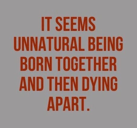 Twins Twin Things Aesthetic, Conjoined Twins Aesthetic, Twinless Twin Quotes, Rosier Twins Aesthetic, Twin Aesthetic Brothers, Creepy Twins Aesthetic, Identical Twins Aesthetic, Opposite Twins Aesthetic, Fraternal Twins Aesthetic