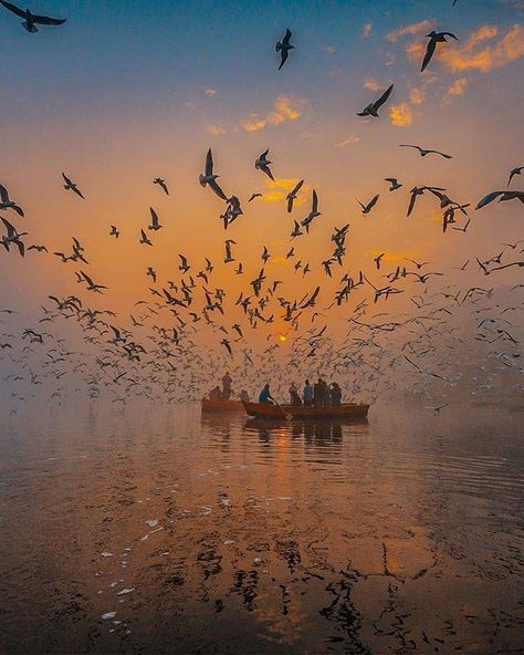 13.9k Likes, 83 Comments - National Geographic India (@natgeoindia) on Instagram: “Peace in the chaos 🕊️🌅😌 Taken in the early morning at Yamuna Ghat, ITO, New Delhi, this picture…” Yamuna Ghat, Yamuna River, Happy Evening, Beauty Plan, Story Videos, Delhi Travel, Satisfying Pictures, Animation Storyboard, Cute Easy Doodles