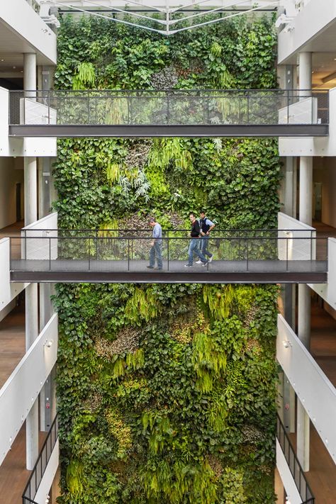 Indoor vertical garden By SUNDAR ITALIA Green Building Architecture, Vertikal Garden, Atrium Design, Vertical Garden Indoor, Vertical Garden Design, Green Facade, Vertical Garden Wall, Eco Architecture, Garden Architecture