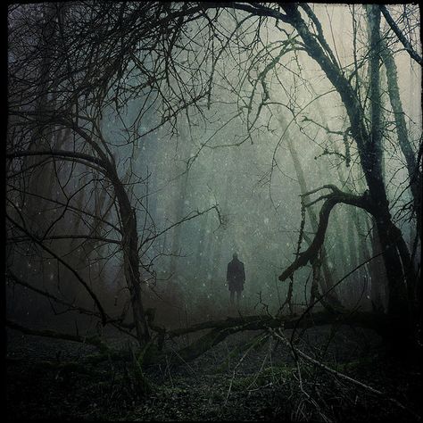 Foggy Day, Dark Places, The Dark Side, Dark Photography, The Darkness, Dark Forest, Pics Art, Creepers, Horror Art