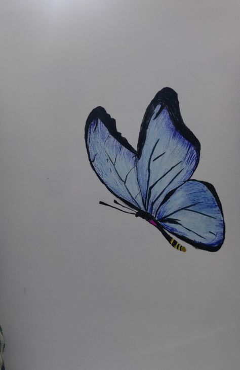 Butterfly 🦋 drawing Side Butterfly Drawing, Drawing Butterfly, Skate Decks, Butterfly Drawing, Deck Design, How To Draw Hair, Art Inspo, Visual Art, Drawings